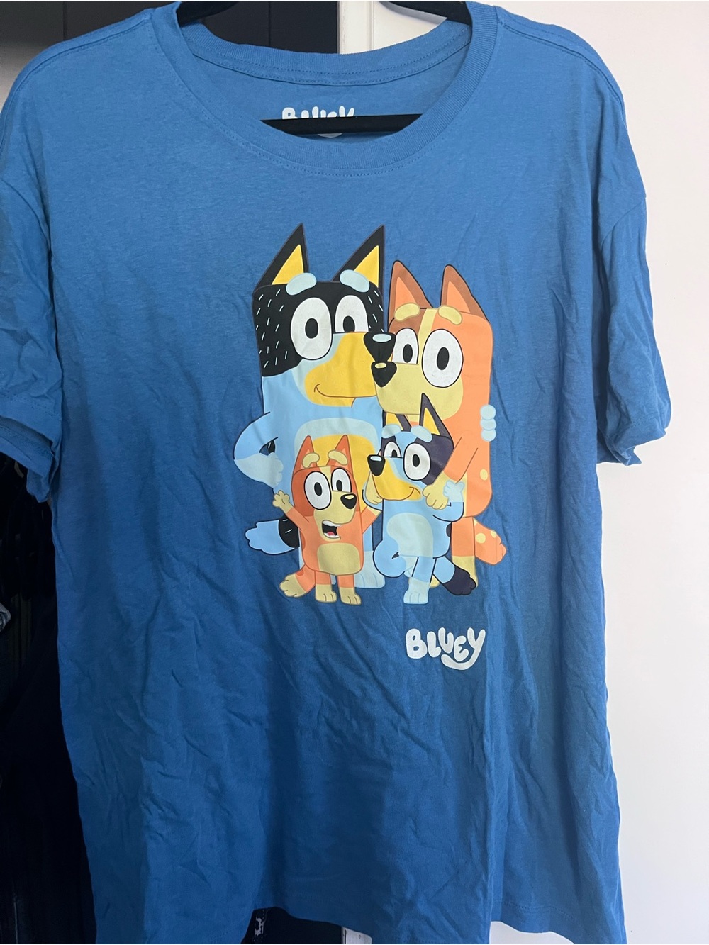 Bluey Family Graphic Blue Short Sleeve Tee - Blue